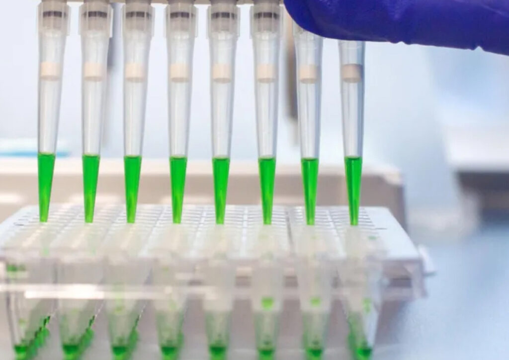 An image of eDNA samples being processed in a laboratory.